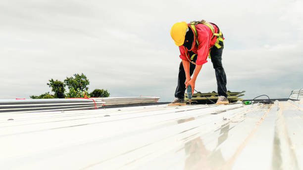 Best Metal Roofing Installation  in North Eagle Butte, SD